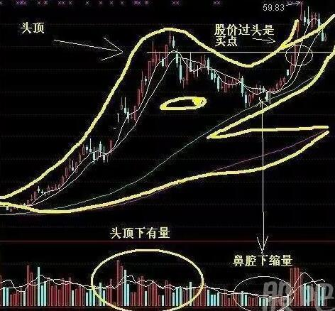 揭秘中国人寿的五种养老保险产品，让你的晚年生活更无忧